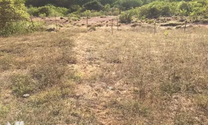 Terreno em pirangi com 4,6 hectares em pirangi do norte
