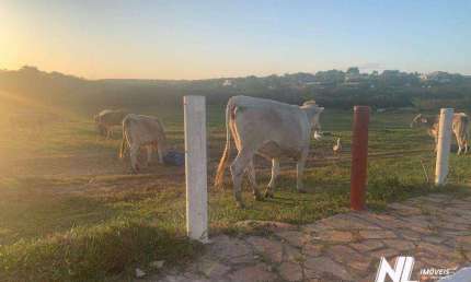 Vende-se Lote 750 m² no Cond. Fazenda Real I/II Q 04 LOTE 06