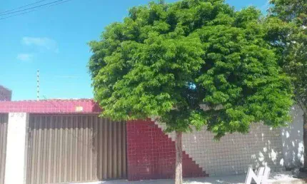 Casa com 4 dormitórios à venda, 220 m² por R$ 485.000,00 - Lagoa Nova - Natal/RN