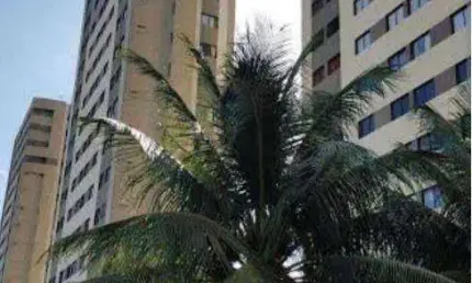 Apartamento com 3 dormitórios à venda, 76 m² por R$ 388.000 - Nova Parnamirim - Cidade Verde