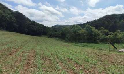 Chácara / sítio à venda na Estrada Do Retiro, s/n, Zona Rural, Campo Largo