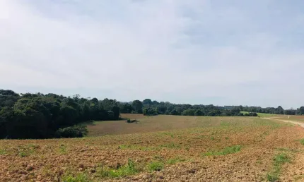 Chácara / sítio à venda na Rua Adão Soares de Oliveira, s/n, Capela Velha, Araucária