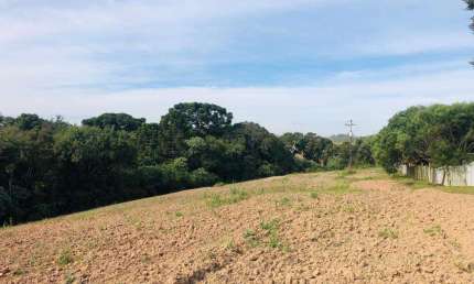 Chácara / sítio à venda na Rua Adão Soares de Oliveira, s/n, Capela Velha, Araucária