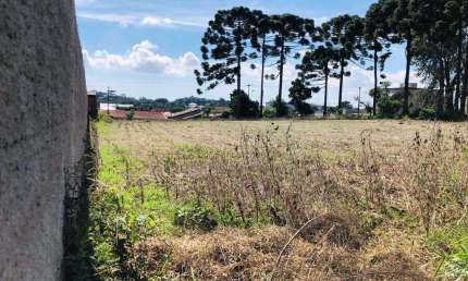 Terreno para Venda em Campo Largo, Loteamento São Gerônimo