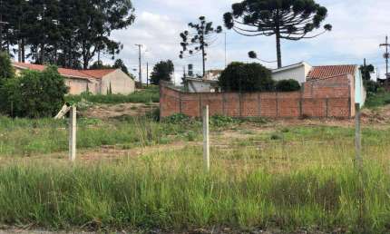 Terreno para Venda em Campo Largo, Loteamento São Gerônimo