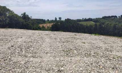 Chácara / sítio à venda no Rincão, Balsa Nova 