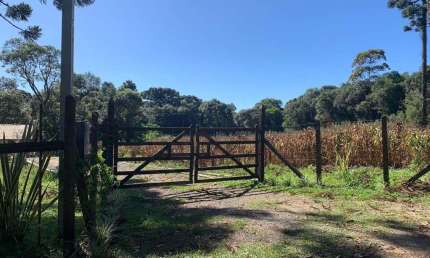 Chácara / sítio à venda no São Caetano, Balsa Nova 