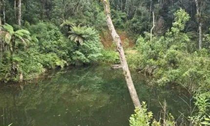 Chácara / sítio à venda no Felpudo, Campo Largo 