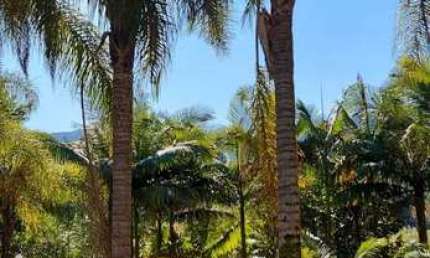 Casa à venda, 2 quartos, Três Rios do Norte - Jaraguá do Sul/SC