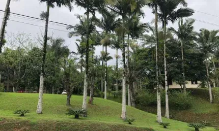Casa à venda, 2 quartos, 1 suíte, 2 vagas, Chico de Paulo - Jaraguá do Sul/SC