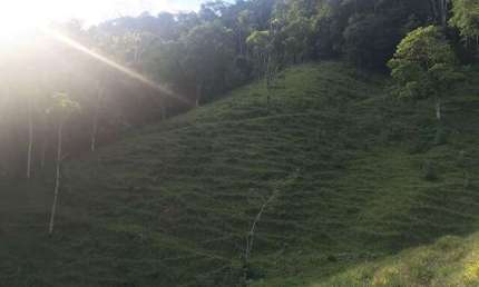 Chácara / Sítio à venda, 2 quartos, Três Rios do Norte - Jaraguá do Sul/SC
