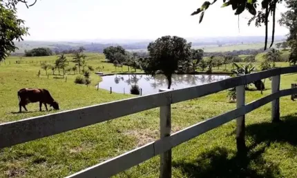 Sítio Rural à venda, Vila Rezende, Piracicaba - SI0011.