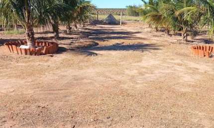 Chácara / sítio com 2 quartos à venda na Zona Rural, Anhembi 