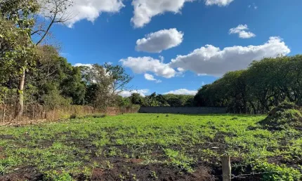 Terreno Residencial à venda, Santa Rita, Piracicaba - TE0293.