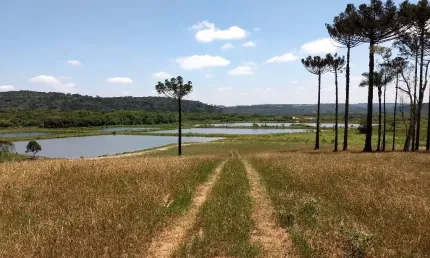 Lindo terreno para Chácara em Balsa Nova - 96.800,00 m²