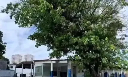 Terreno Comercial para Venda em Salvador, Pernambués