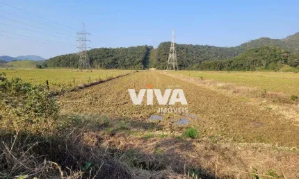 Terreno à venda, 3500 m² por R$ 1.750.000,00 - Rio do Meio - Itajaí/SC