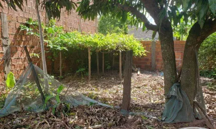 Terreno à venda na Avenida Sampaio Vidal, Padre Nóbrega, Marília por R$ 450.000