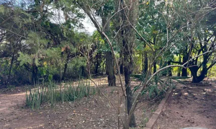 Chácara / sítio com 1 quarto à venda na Alameda Santa Carolina, Sítios de Recreio Santa Carolina, Marília por R$ 990.000