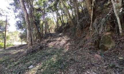 TERRENO À VENDA, 2500 M² POR R$ 200.000,00 - ALBUQUERQUE - TERESÓPOLIS/RJ