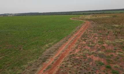 Fazenda para alugar na Zona Rural, Campo Grande 