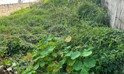 Terreno para Venda em Mogi das Cruzes, Vila São Paulo