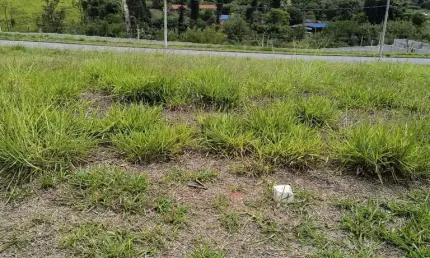Terreno para venda em mogi das cruzes, porteira preta
