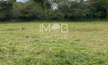 Terreno à venda na Rodovia Baldicero Filomeno, Ribeirão da Ilha, Florianópolis por R$ 680.000