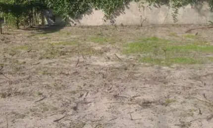 Terreno para Venda em Florianópolis, São João do Rio Vermelho