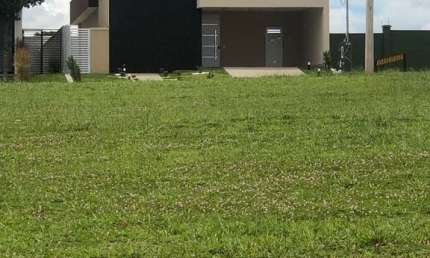 TERRAS ALPHA 1 Casa em Condomínio com 3 Quarto(s) e 4 banheiro(s) à Venda, 185.26 por R$ 1.299.000 no setor Terras Alpha Residencial 1 AD9887