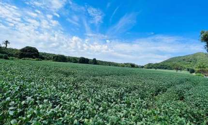 Fazenda jandaia Fazenda à Venda, 200 por R$ 2.350.000 AD10017