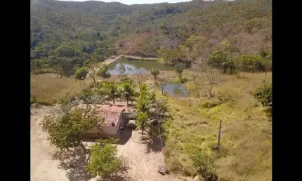 Fazenda de 40 alqueires em orizona - go fazenda à venda, 1936000 por r$ 5.000.000 vn14388