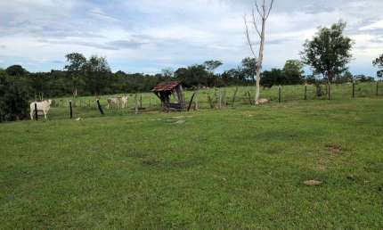 Fazenda município de Crixás  Fazenda à Venda, 900000 por R$ 2.050.000 VN17407