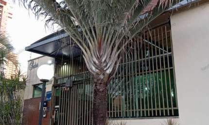 Residencial Solar das Brisas próximo ao Shopping Flamboyant e da faculdade Unip Apartamento com 2 Quarto(s) e 3 banheiro(s) à Venda, 87 por R$ 420.000 no setor Vila Maria José VN20801
