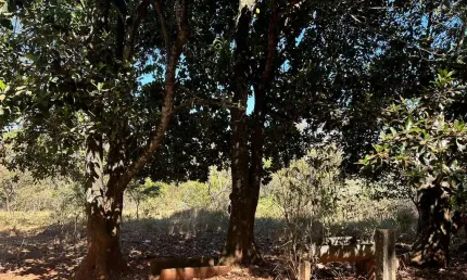 CHÁCARA / ÁREA Chácara à Venda, 8950 por R$ 1.127.700 AD22532