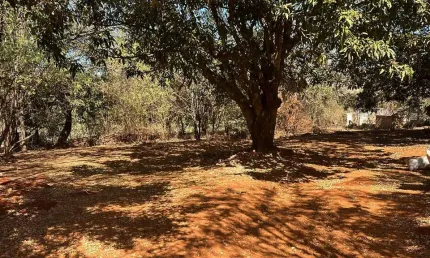 CHÁCARA/ ÁREA Chácara à Venda, 9550 por R$ 1.203.300 AD22537