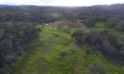 Chácara cidade de Goiás Chácara à Venda, 338800 por R$ 1.100.000 TA24629