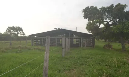São miguel do passo quatro chácara à venda, 3 por r$ 1.300.000 ad24794