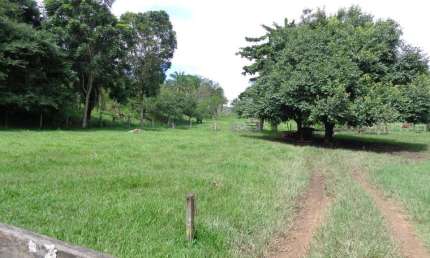 FAZENDA A VENDA À APENAS 18 km DE JANDÁIA Fazenda à Venda, 410966 por R$ 2.547.000 VN24835