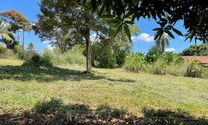 CHÁCARA BAIRRO CARDOSO - APARECIDA DE GOIÂNIA Chácara à Venda, 4880 por R$ 1.200.000 VN24838
