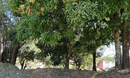 Lote em Aparecida - Vila Maria  Área / Terreno à Venda, 1214 por R$ 606.000 no setor Vila Maria IN25571