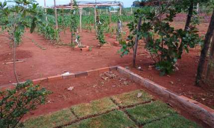 CHACARA - CATURAI  Chácara à Venda, 2000 por R$ 180.000 VN25608