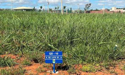 LOTE JARDIM PARMA  Lote à Venda, 403.75 por R$ 403.750 no setor Jardins Parma ST26298