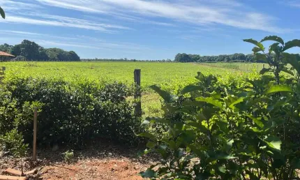 SÍTIO 1ALQUEIRE MUNICÍPIO DE CEZARINA-GO Chácara à Venda, 48400 por R$ 1.500.000 AD26749