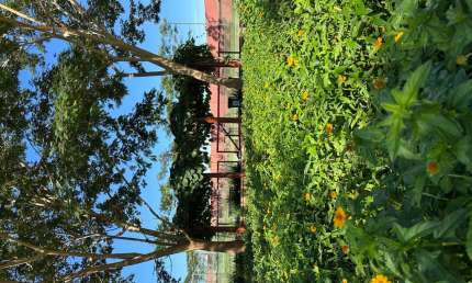 JARDINS NÁPOLES  Casa em Condomínio com 3 Quarto(s) e 5 banheiro(s) à Venda, 202 por R$ 1.590.000 no setor Jardins Nápoles AD27245