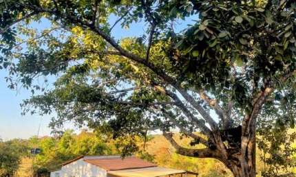 CHÁCARA COM EDIFICAÇÃO - CALDAZINHA Chácara à Venda, 2000 por R$ 230.000 VN23860