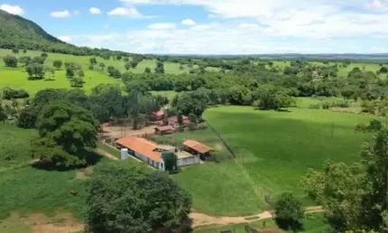 LINDA FAZENDA EM PALMEIRAS DE GOIAS Fazenda à Venda, 701800 por R$ 5.700.000 AD28014
