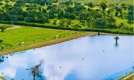 lote em trindade Área / Terreno à Venda, 1036.12 por R$ 235.000 no setor Setor Dona Iris II SL29125