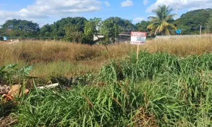 LOTE NO JD. CRISTAL EM APARECIDA, NO ASFALTO,PROXIMO A BR 153 Lote à Venda, 370.8 por R$ 110.000 no setor Jardim Cristal AD29483
