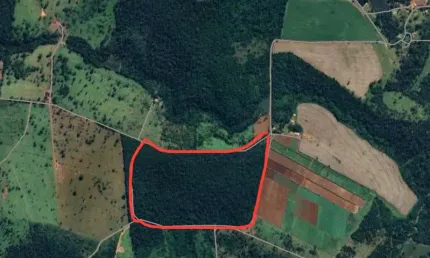 Oportunidade Rara: Terra de Cultura em Teresópolis-GO  9 alqueires (43,56 ha) de solo fértil, virgem e com mata preservada! Chácara à Venda, 43562.98 por R$ 2.655.000 AD30132